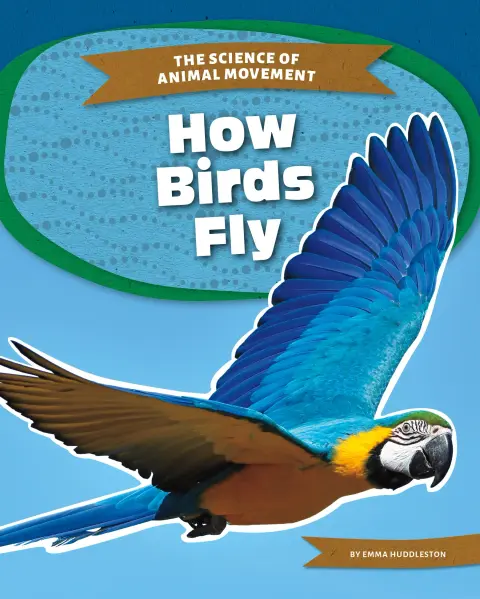 Cover of How Birds Fly