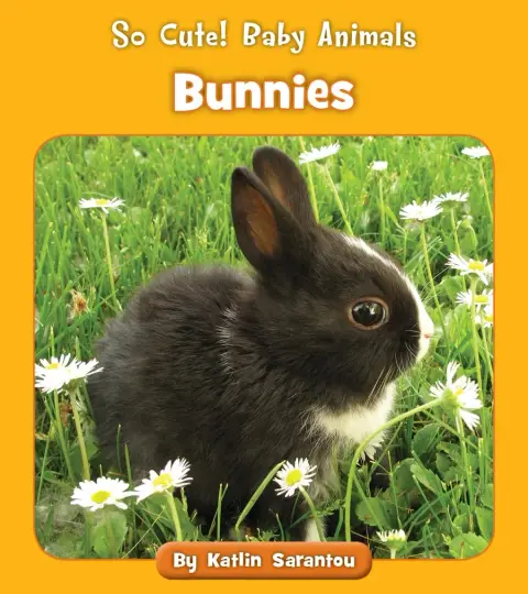 Cover of Bunnies