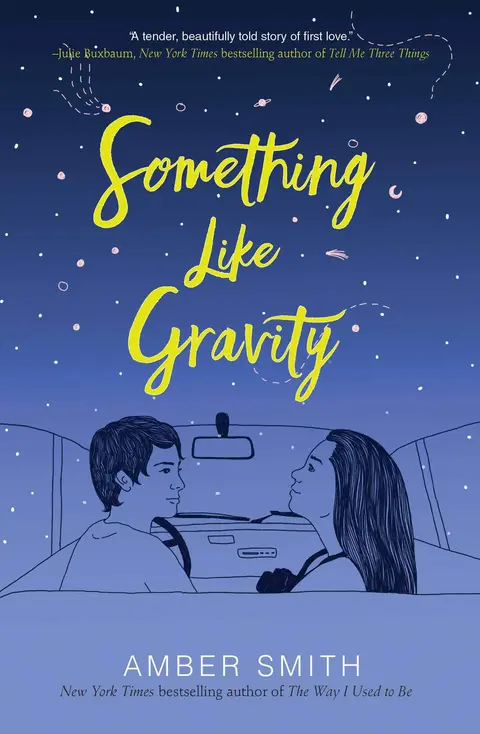 Cover of Something Like Gravity