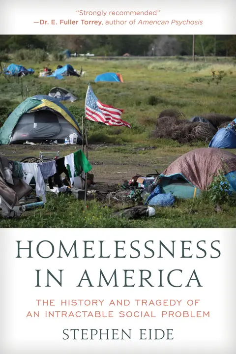 Cover of Homelessness in America