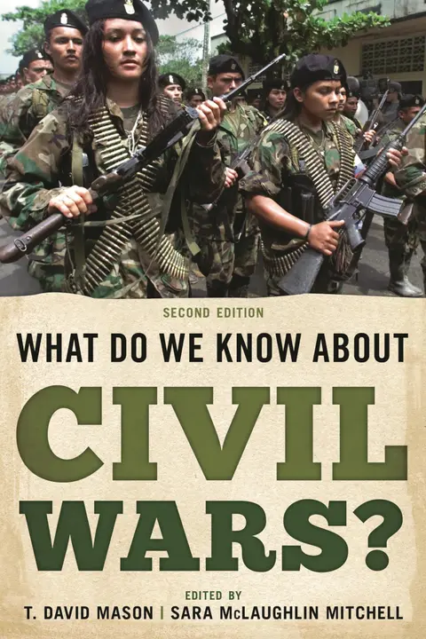 Cover of What Do We Know About Civil Wars?