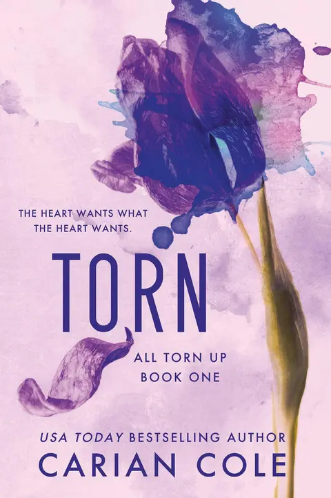 Cover of Torn