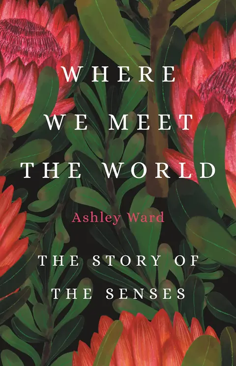 Cover of Where We Meet the World