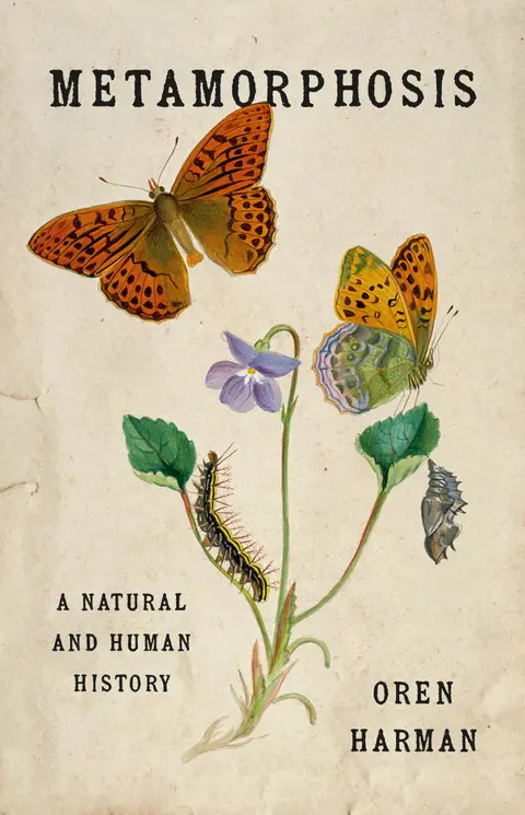 Cover of Metamorphosis
