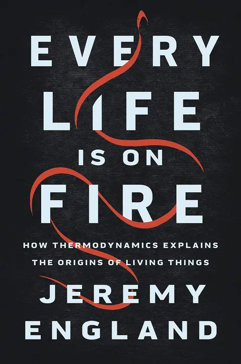 Cover of Every Life Is on Fire