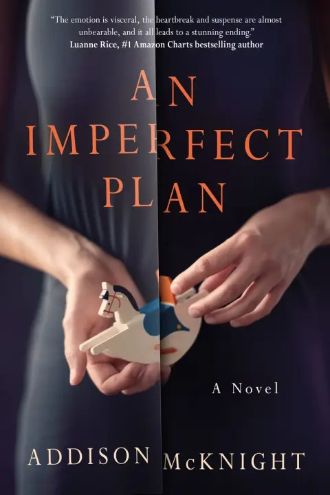 Cover of An Imperfect Plan