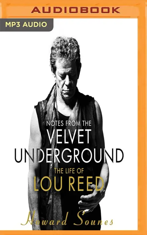 Cover of Notes from the Velvet Underground