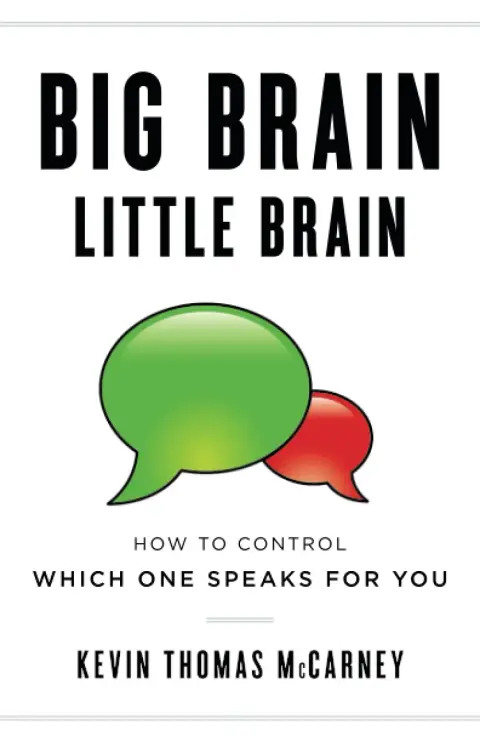 Cover of Big Brain Little Brain
