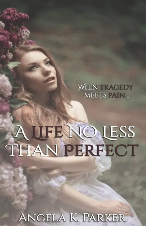 Cover of A Life No Less Than Perfect