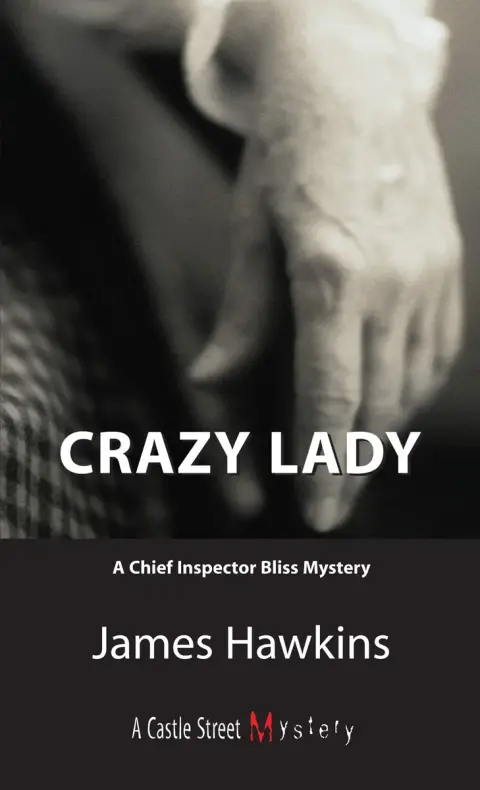 Cover of Crazy Lady