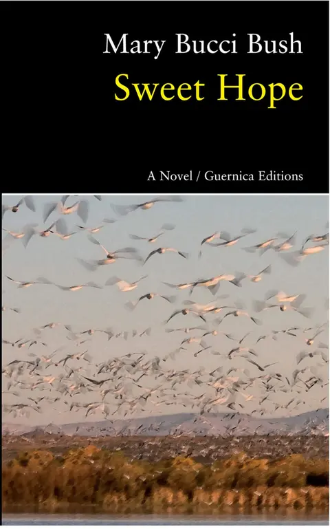 Cover of Sweet Hope