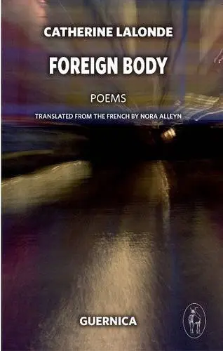 Cover of Foreign Body