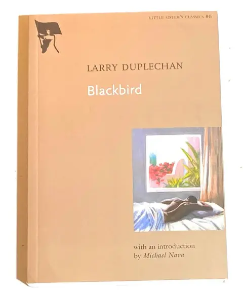 Cover of Blackbird