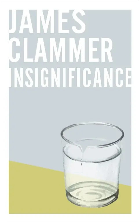 Cover of Insignificance