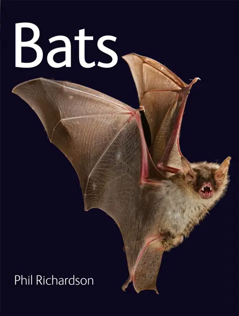 Cover of Bats