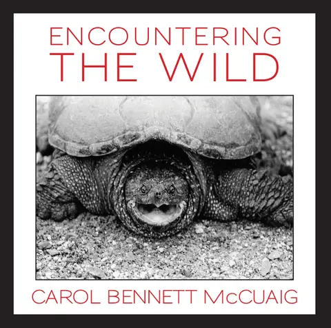 Cover of Encountering the Wild