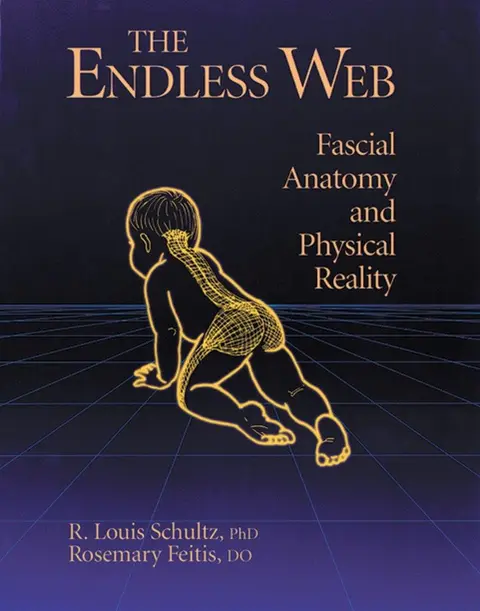 Cover of The Endless Web