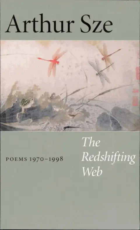Cover of The Redshifting Web