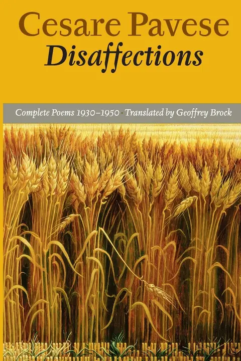 Cover of Disaffections