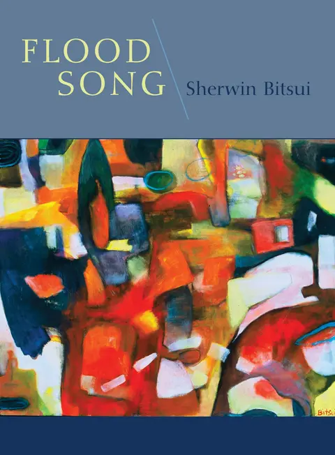 Cover of Flood Song