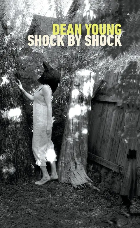 Cover of Shock by Shock