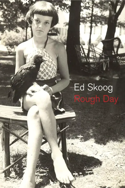 Cover of Rough Day