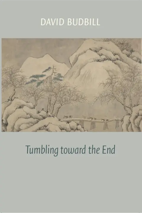 Cover of Tumbling Toward the End