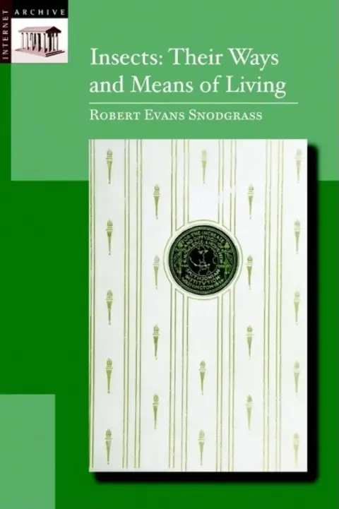 Cover of Insects
