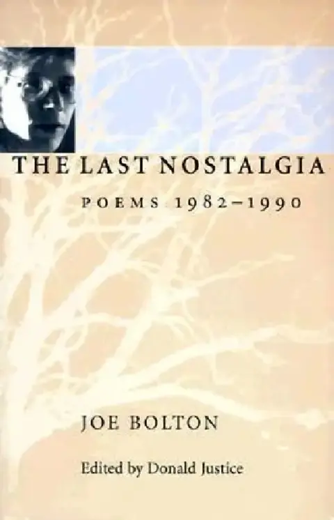 Cover of The Last Nostalgia