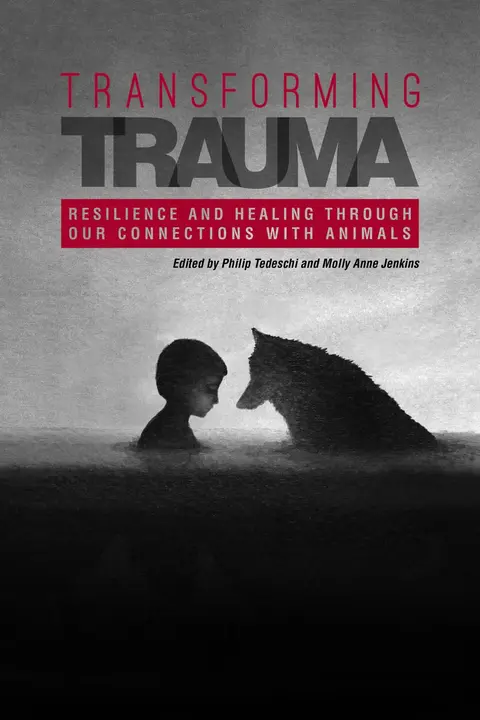 Cover of Transforming Trauma
