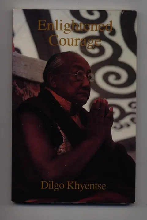 Cover of Enlightened Courage