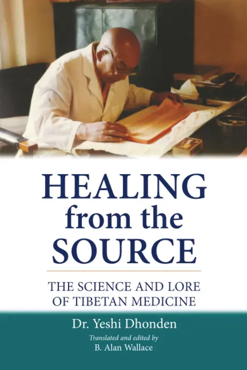 Cover of Healing from the Source