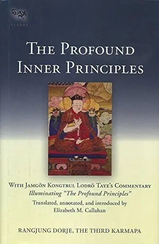 Cover of Profound Inner Principles