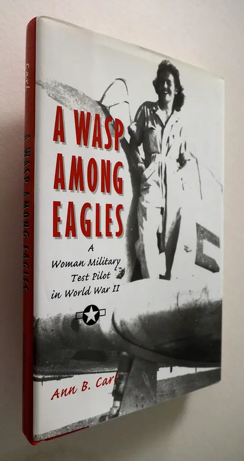 Cover of A Wasp Among Eagles