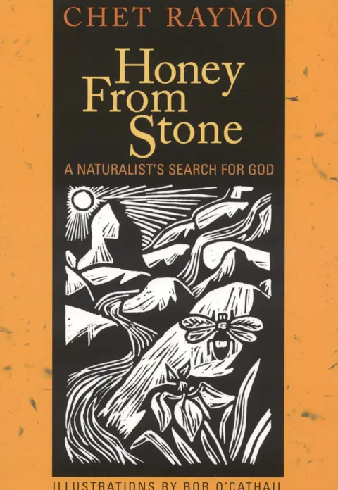 Cover of Honey from Stone