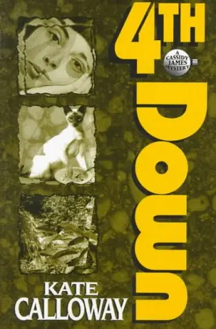 Cover of Fourth down