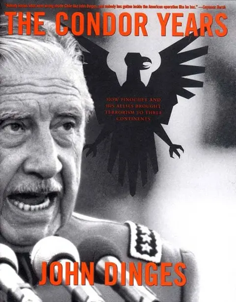 Cover of Condor Years