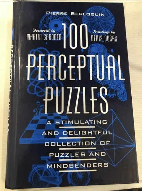 Cover of 100 Perceptual Puzzles