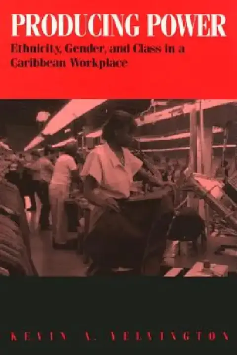 Cover of Producing Power