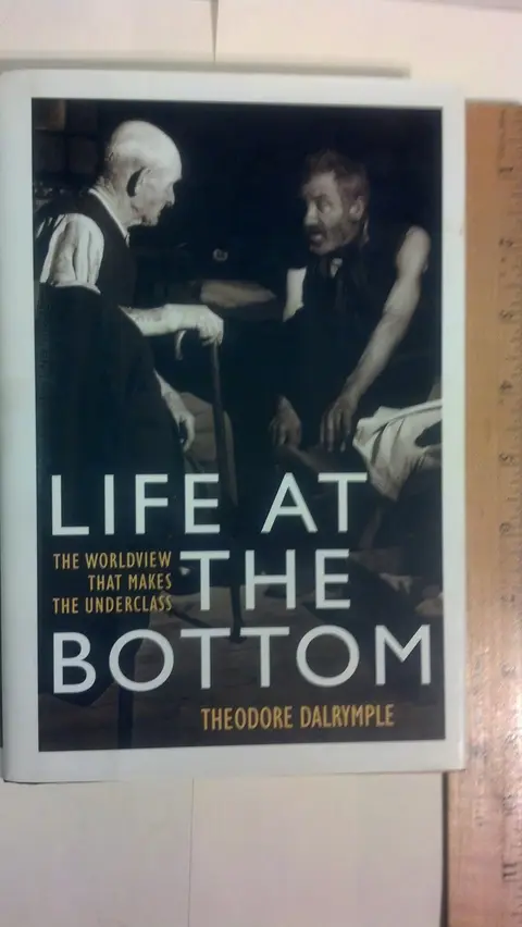 Cover of Life at the Bottom