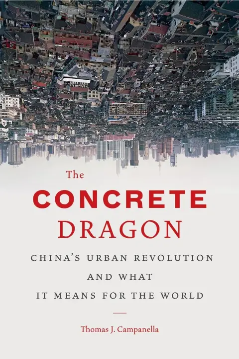 Cover of The Concrete Dragon
