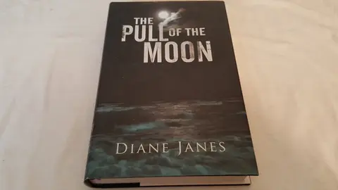 Cover of Pull of the Moon
