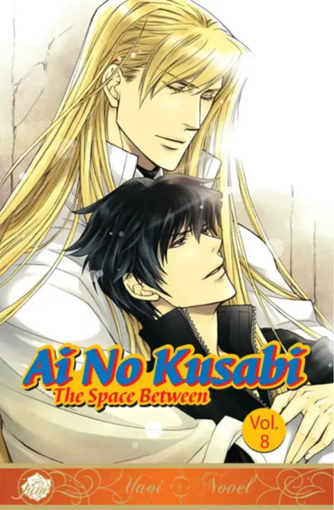 Cover of Ai No Kusabi 8
