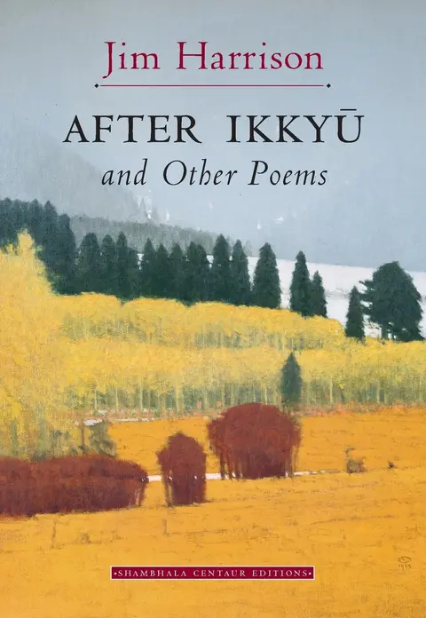 Cover of After Ikkyu