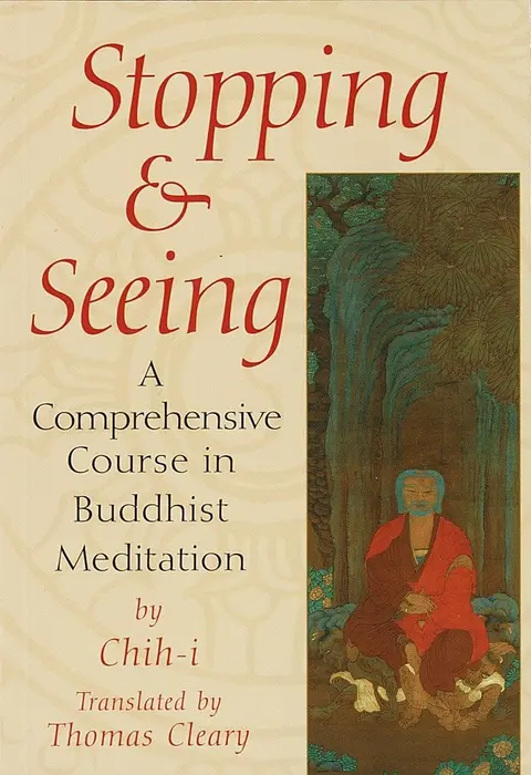 Cover of Stopping and Seeing