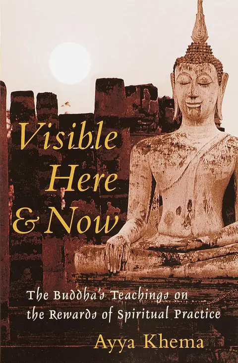 Cover of Visible Here and Now