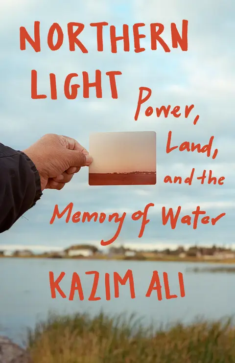 Cover of Northern Light