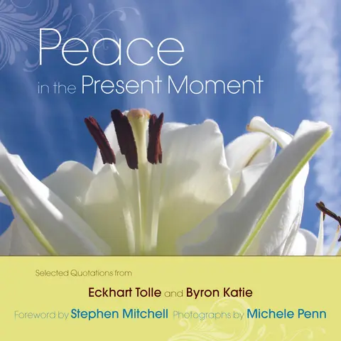 Cover of Peace in the Present Moment