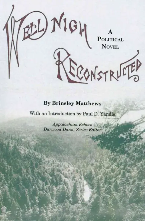 Cover of Well-Nigh Reconstructed