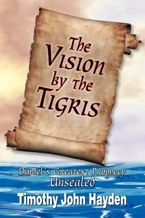 Cover of The Vision by the Tigris